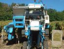 web vignes
