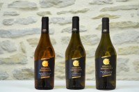 vins-blancs